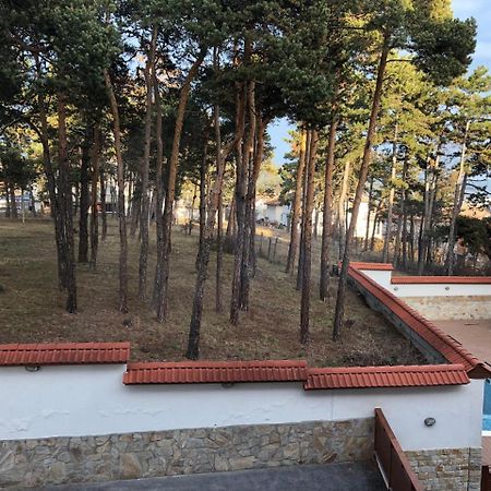 Апартамент "Forest View" В Комплекс "Вели Хилс" Velingrad Eksteriør bilde